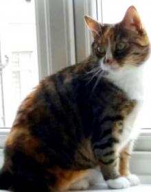 Cleo