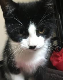 Quinn