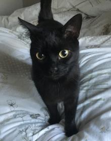 BETTY