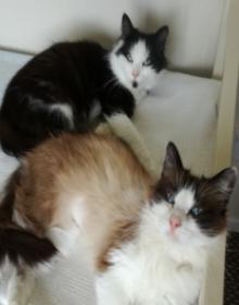 LOLLY & LETTIE