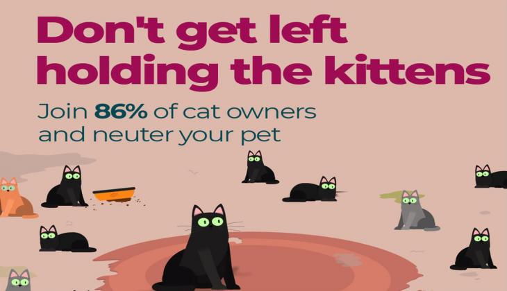 CLICK OR TAP TO FIND OUT MORE ON NEUTERING YOUR CAT