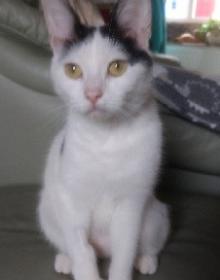 RIPLEY