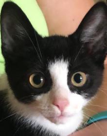 TINKER