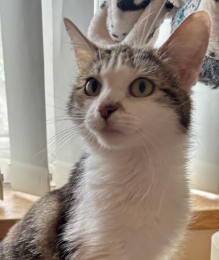 CHLOE