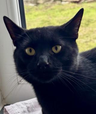 CHARLIE