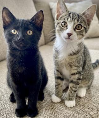 JESSIE & FLORA